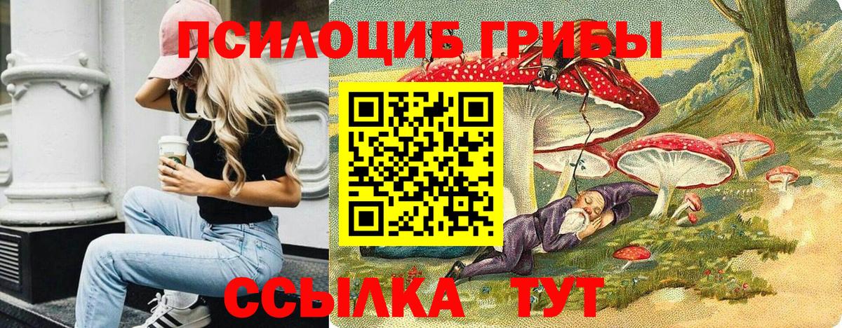 Ялта  Псилоцибиновые грибы Cubensis  Вход с VPN  Псилоцибиновые грибы мухоморы 